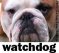 Schuster Institute for Investigative Journalism at Brandeis University Schuster Institute for Investigative Journalism at Brandeis University