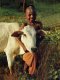 Cowicide