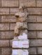 Pasquino Pasquino