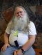 Gordon Peterson Gordon Peterson