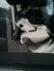 john auer john auer