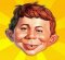 Kenneth Fingeret