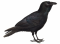 Kburd67 Kburd67