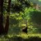 doxie8@verizon.nnet