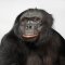 Richard Breyer Richard Breyer